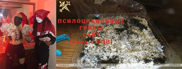 гидропоника Богородск