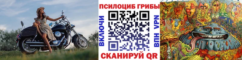 Псилоцибиновые грибы ЛСД  магазин продажи наркотиков  Новозыбков 